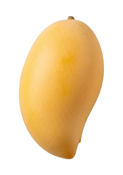 Imagen PNG para descargar